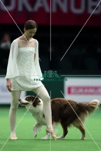 Winner of Heelwork to Music competition