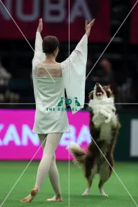 Winner of Heelwork to Music competition