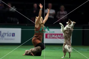 Winner of Heelwork to Music competition