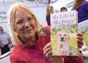 Crufts 2016 Gundog day