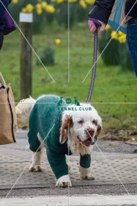 Crufts 2016