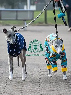 Crufts 2016