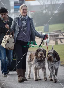 Crufts 2016
