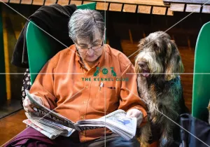 Crufts 2016