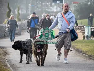 Crufts 2016