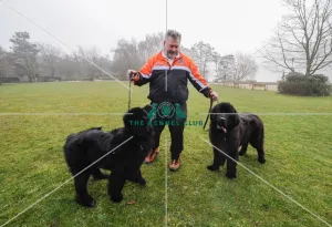 Crufts 2016