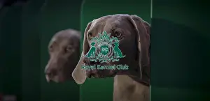 Crufts 2016