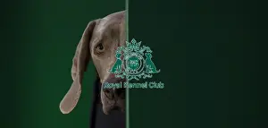 Crufts 2016