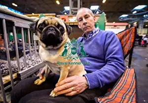 Crufts 2016