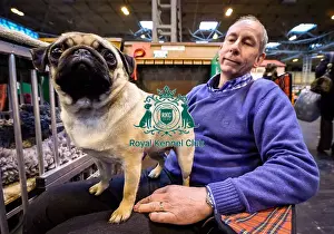 Crufts 2016