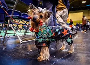 Crufts 2016