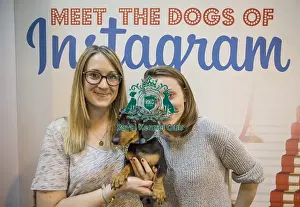 Crufts 2016