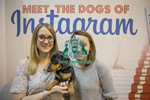 Crufts 2016