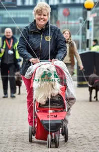 Crufts 2016