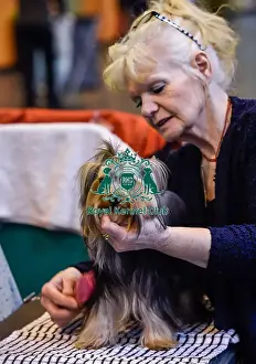 Crufts 2016