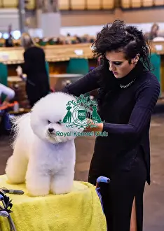Crufts 2016
