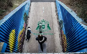 Crufts 2016