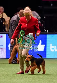 Crufts 2016