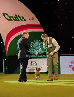 Crufts 2016