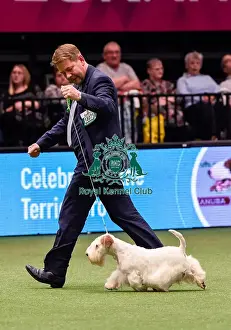 Crufts 2016