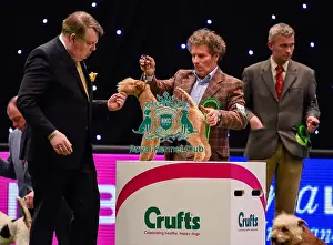 Crufts 2016
