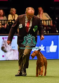 Crufts 2016