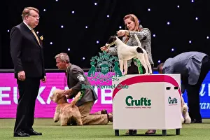 Crufts 2016