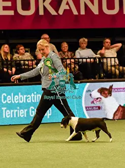 Crufts 2016