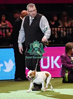 Crufts 2016