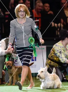 Crufts 2016