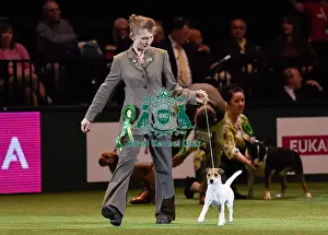 Crufts 2016