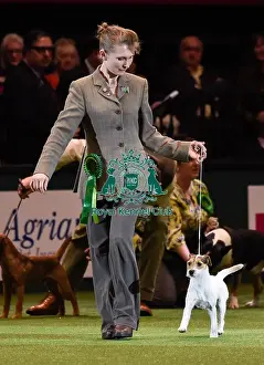 Crufts 2016