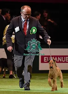 Crufts 2016