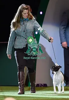 Crufts 2016