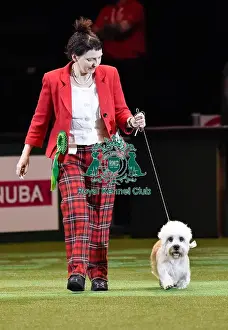 Crufts 2016