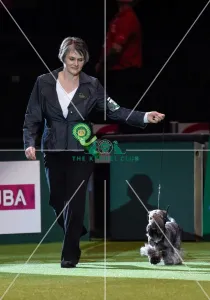 Crufts 2016