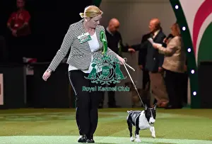 Crufts 2016
