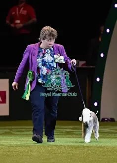 Crufts 2016