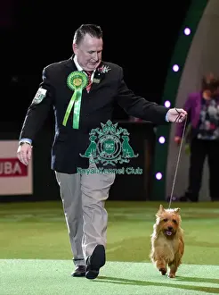 Crufts 2016