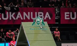 Crufts 2016