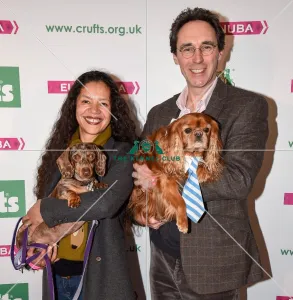Cavalier King Charles Spaniel