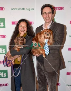 Cavalier King Charles Spaniel