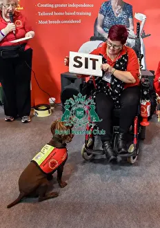 Crufts 2016