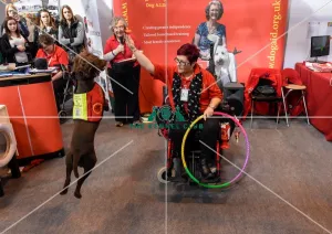 Crufts 2016