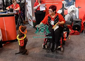 Crufts 2016