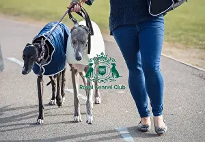 Crufts 2016