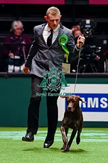 Crufts 2016 Best of Breed