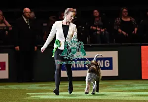 Crufts 2016 Best of Breed