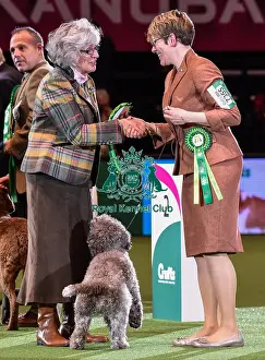 Crufts 2016 Best of Breed
