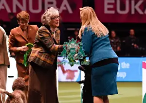 Crufts 2016 Best of Breed